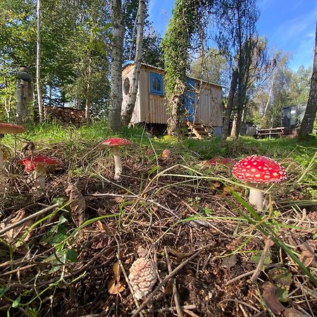 Sapphire Forest Garden Shepherd'S Hut Church Stretton Exterior photo