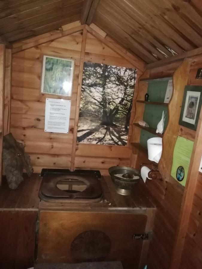 Sapphire Forest Garden Shepherd'S Hut Church Stretton Exterior photo