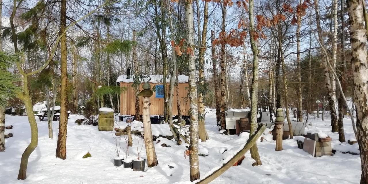 Sapphire Forest Garden Shepherd'S Hut Church Stretton Exterior photo